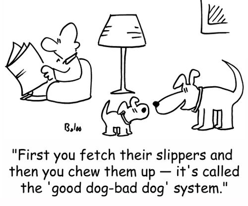 'First you fetch their slippers and then you chew them up -- it's called the 'good dog-bad dog' system.'