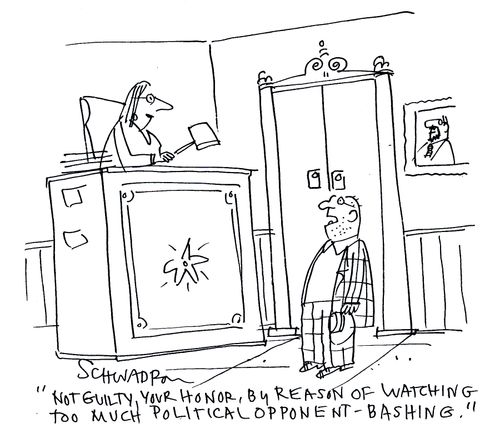 'Not guilty, Your Honor, by reason of watching of watching too much political opponent-bashing.'