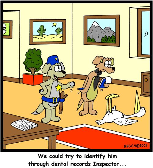 'We could try to identify him through dental records inspector...'