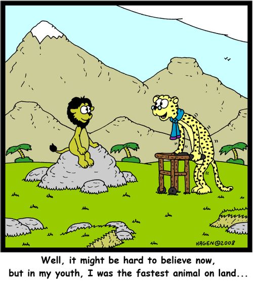 'Well, it might be hard to believe now, but in my youth, I was the fastest animal on land...'