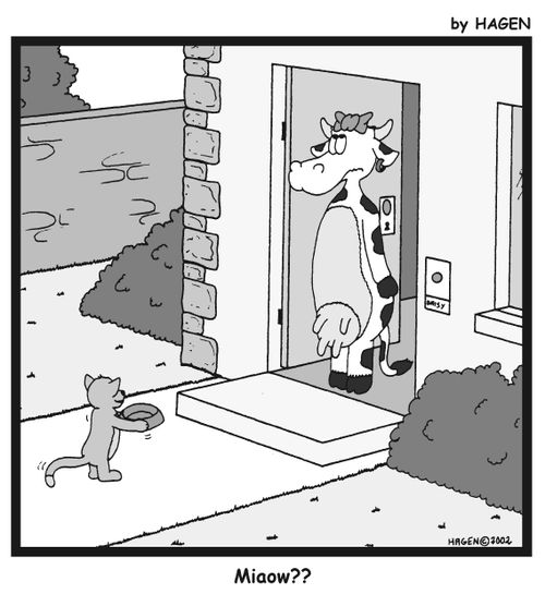 'Miaow??' (Kitten begging a cow for milk).
