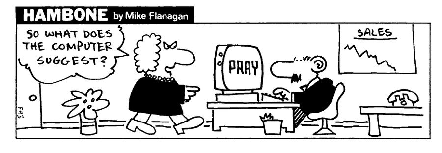 STRIP Hambone: Computer analyst of company situation