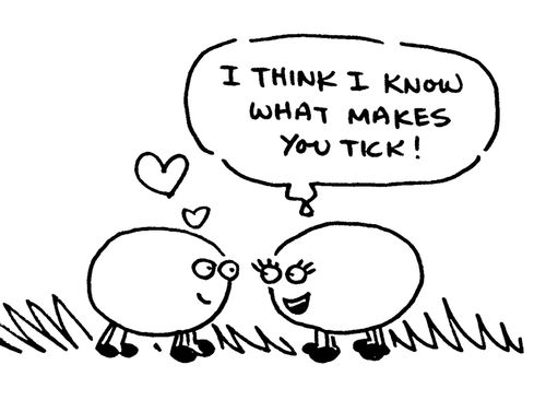 'I think I know what makes you tick!'