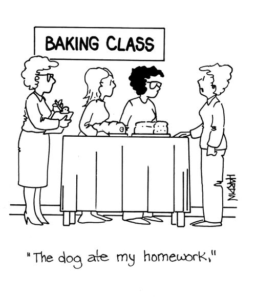 'The dog ate my homework.'