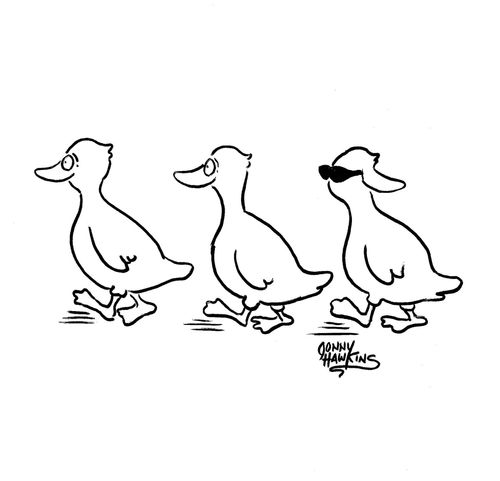Three ducks: two have normal bills, third one has bill turned around like bill of cap.