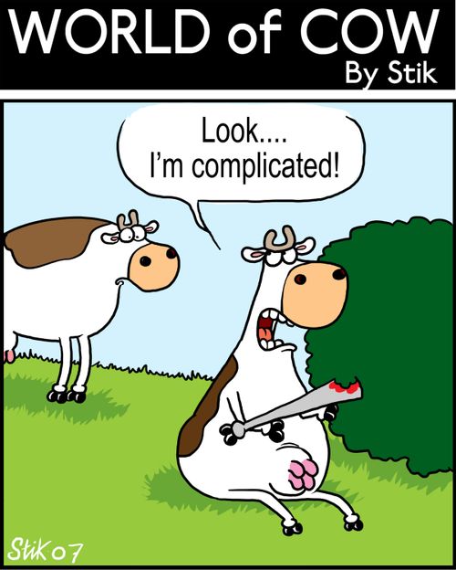 Look....I'm complicated!