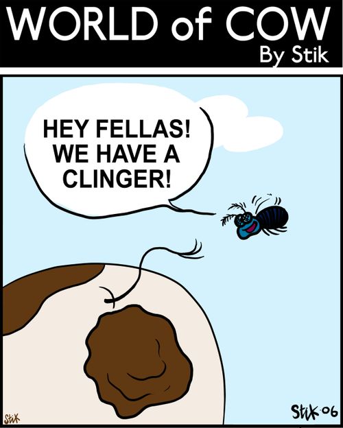 Hey fellas! We have a clinger!
