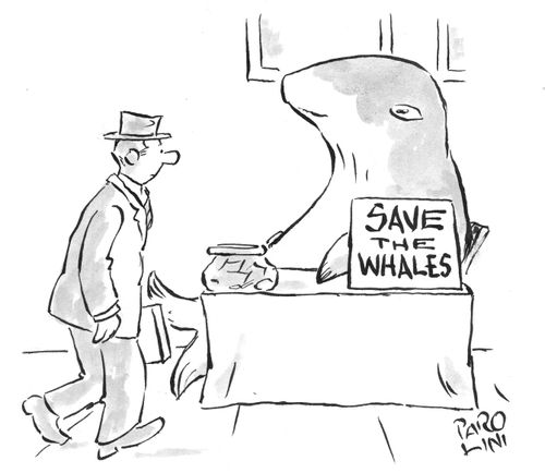 'Save the Whales' campaigner.