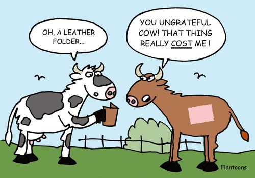 'You Ungrateful Cow! That thing really cost me.'