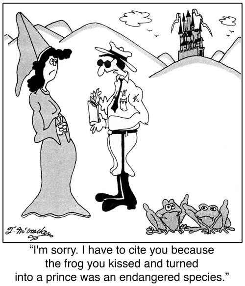 'I'm sorry. I have to cite you because the frog you kissed and turned into a prince was an endangered species.'