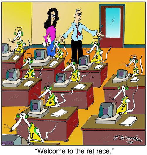 'Welcome to the rat race.'