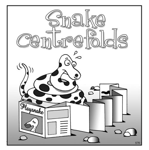 Snake centrefolds.
