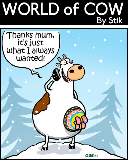 'Thanks mum, it's just what I always wanted!'
