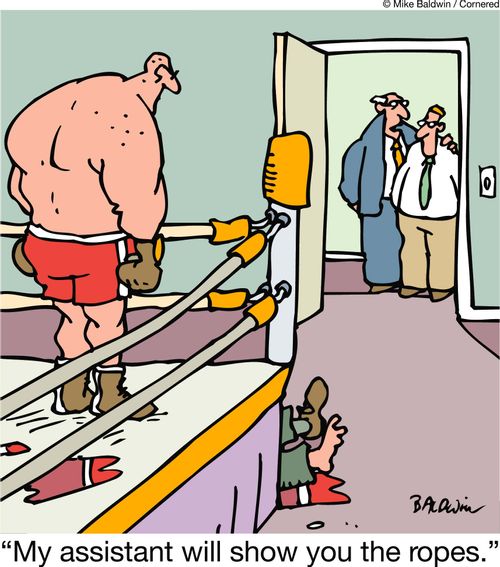 'My assistant will show you the ropes.'