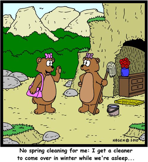 'No spring cleaning for me: I get a cleaner to come over in winter while we're asleep...'