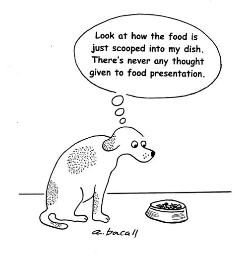 The food is just scooped into my dish...no thought to food presentation. 
