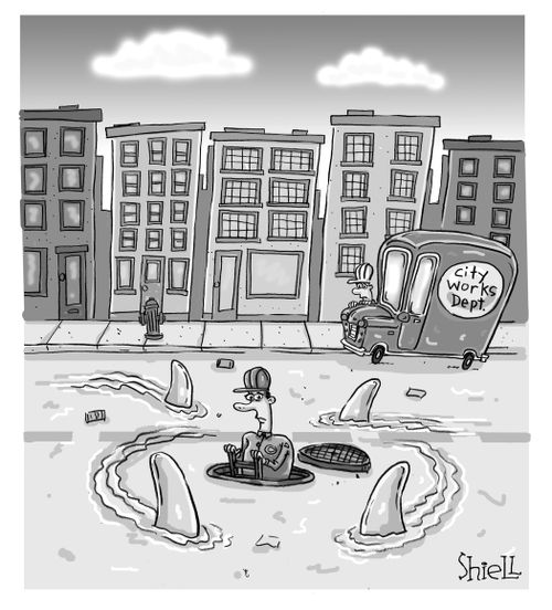 Road Sharks. 