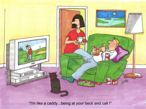 'I'm like a caddy at your beck and call !'