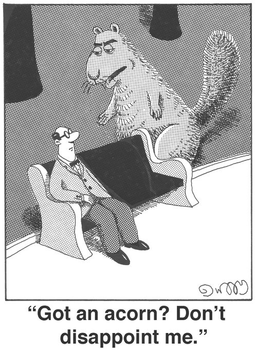'Got an acorn? Don't disappoint me.'