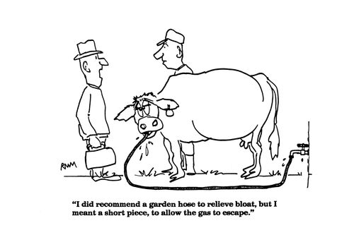 'I did recommend a garden hose to relieve bloat, but I meant a short piece...