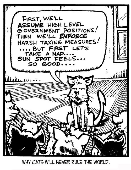 Why cats will never rule the world: 'First, we'll assume high level government positions! Then we'll enforce harsh taxing measures! ...But first let's take a nap...sun spot feels...so good.'