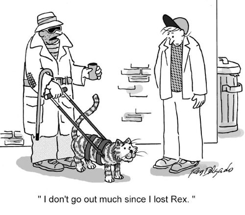 'I don't go out much since I lost Rex.'
