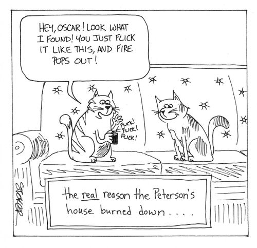 'The real reason the Peterson's house burned down...'