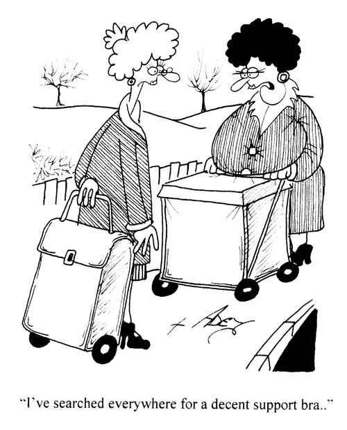 'I've searched everywhere for a decent support bra...'