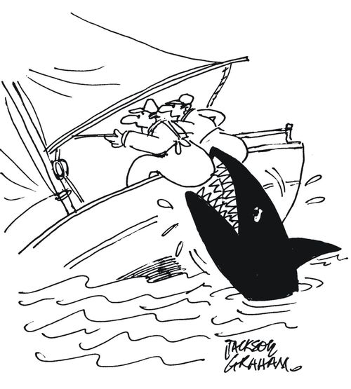 The Yachtsman