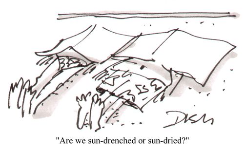 "Are we sun-drenched or sun-dried?"