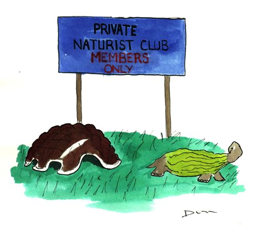 Nudist Tortoise