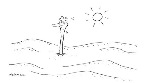 Ostrich with everything but his head in the sand