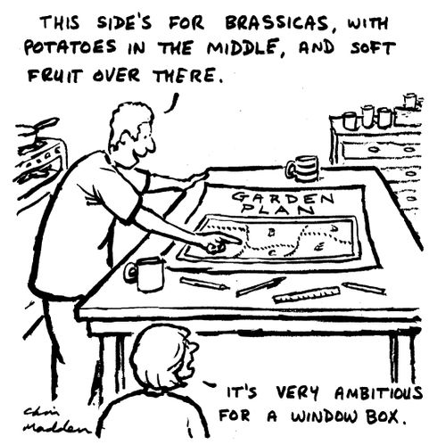 "This side's for Brassicas,with potatoes in the middle, and soft fruit over there.""It's very ambitious for a window box."