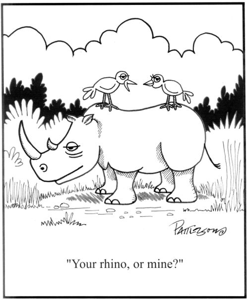 'Your rhino, or mine?'