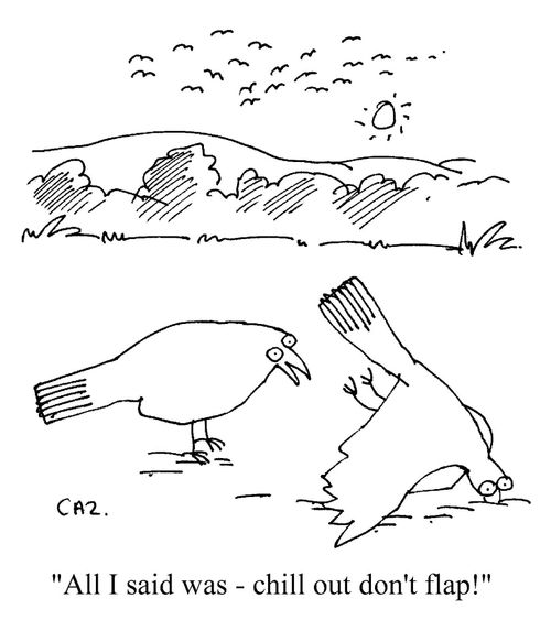'All I said was - chill out don't flap!'