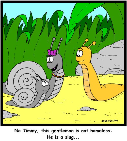 'No Timmy, this gentleman is not homeless: He is a slug...'