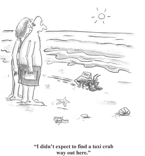 'I didn't expect to find a taxi crab way out here.'