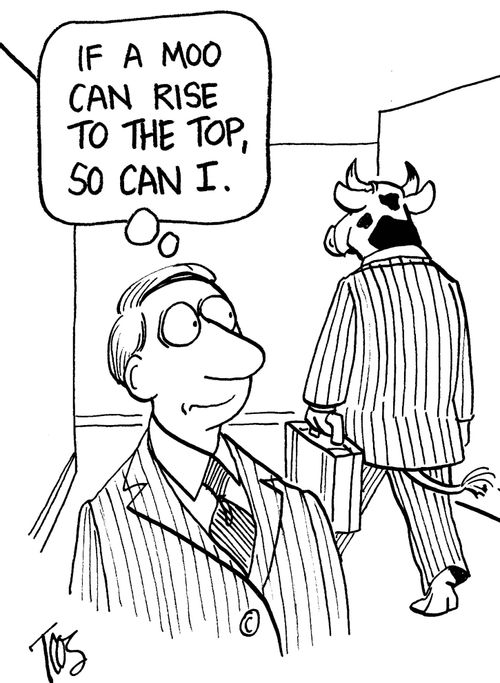 IF A MOO CAN RISE TO THE TOP, SO CAN I
