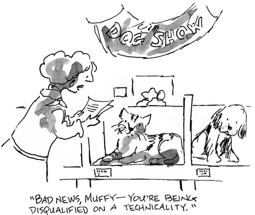 Dog Show: 'Bad news Muffy - you're being disqualified on a technicality.'