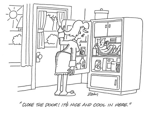 'Close the door! It's nice and cool in here'
