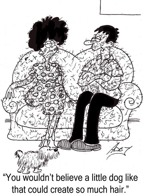 "You wouldn't believe a little dog like that could create so much hair."