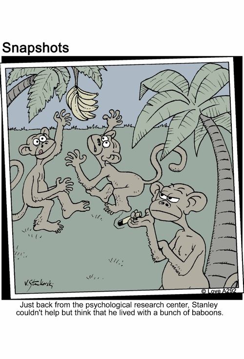 Just back from the psychological research center, Stanly couldn't help but think that he lived with a bunch of baboons.