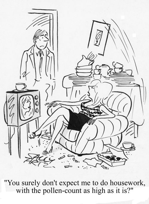'You surely don't expect me to do housework, with the pollen count as high as it is?'
