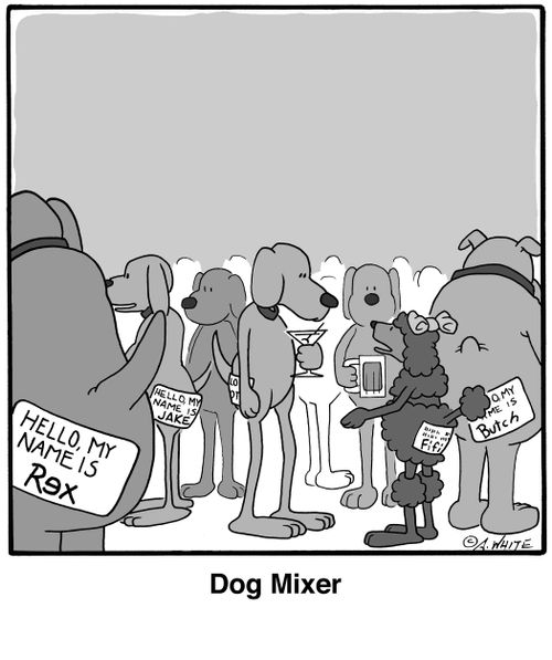 Dog mixer.