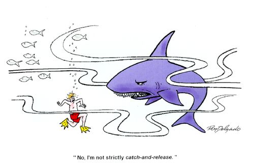 'No, I'm not strictly catch-and-release.'