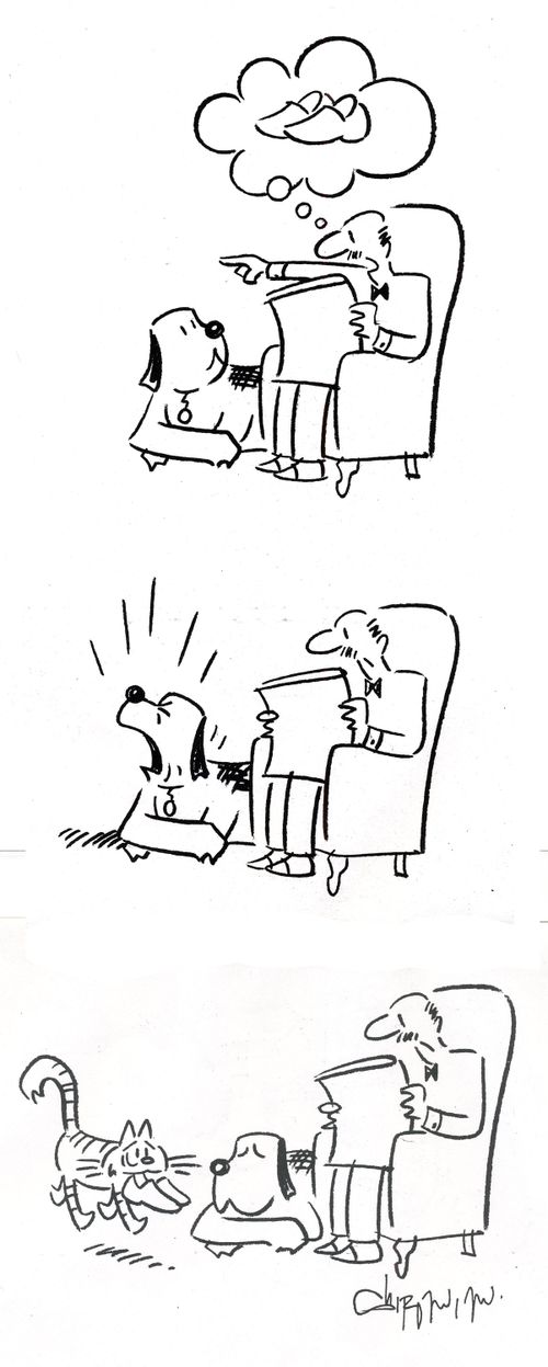 Lazy dog.
