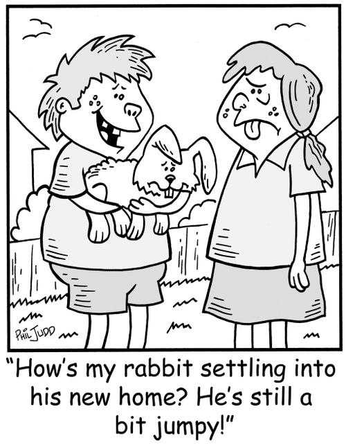 'How's my rabbit settling into his new home? He's still a bit jumpy!'
