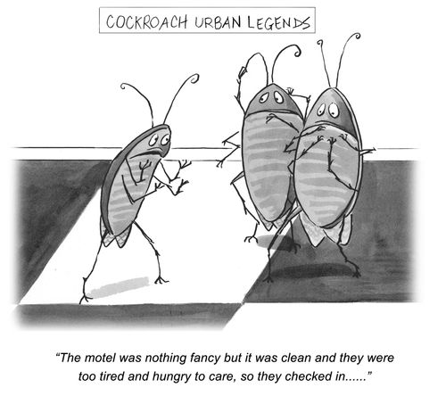'The motel was nothing fancy but it was clean and they were too tired and hungry to care....'