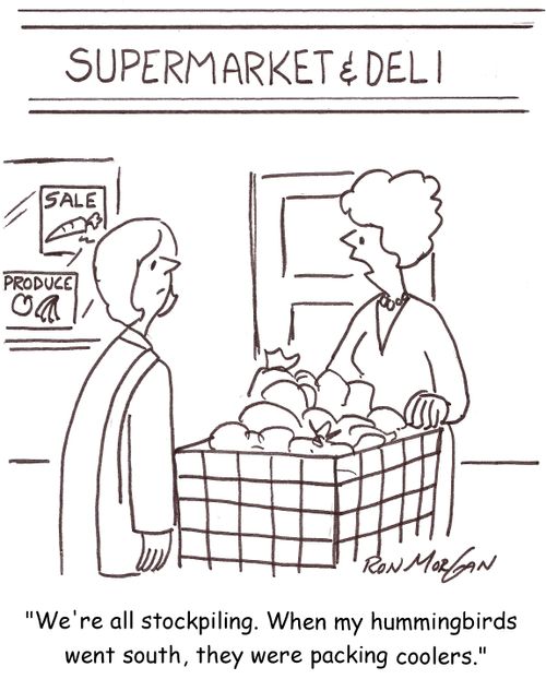 'We're all stockpiling. When my hummingbirds flew south, they were packing coolers.'