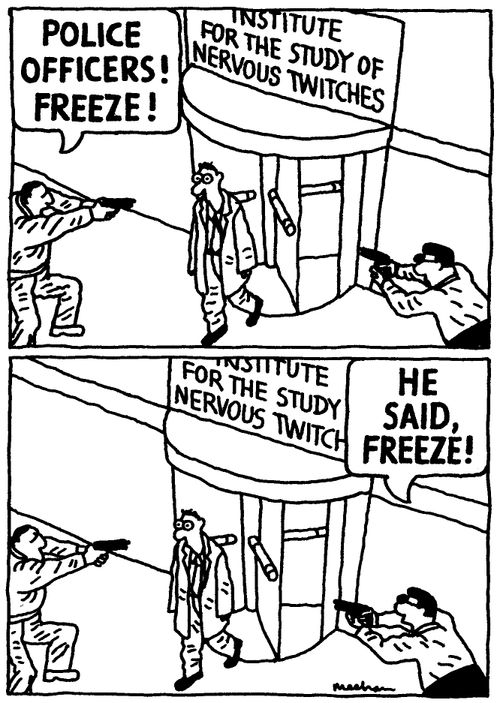 'Police officers! Freeze!' 'He said freeze!'